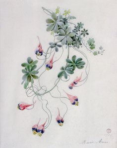 Blomsterstykker
